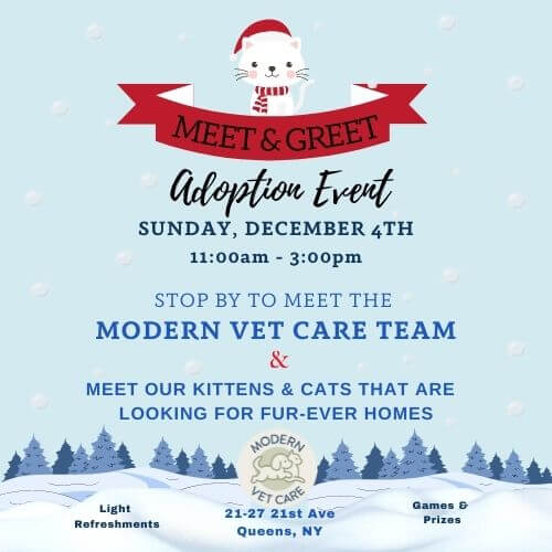 Modern Vet Care Adoption Event